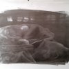 01_DxO_DxO