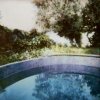 medium_265