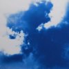 medium_381