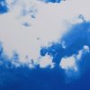 medium_386